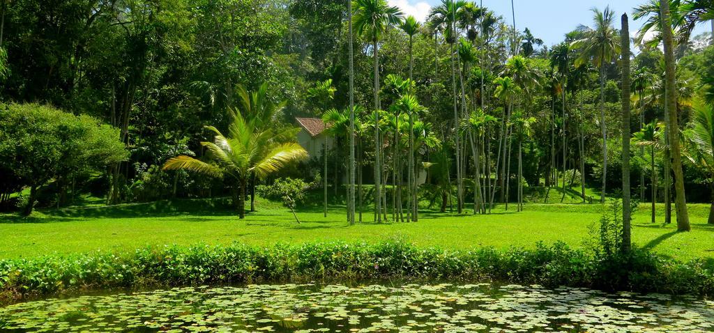 Siri Wedamadura Villa Weligama Quarto foto